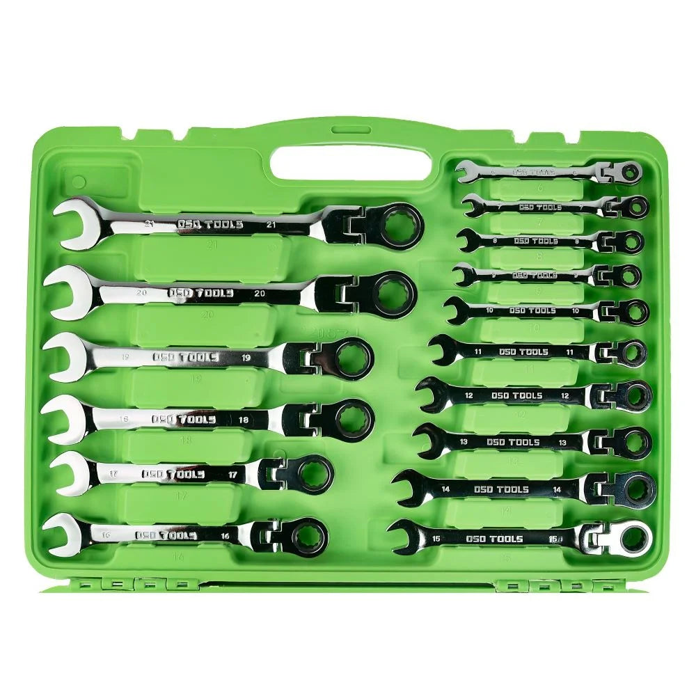Flexible Head ratchet Spanner 22pcs set DS1060